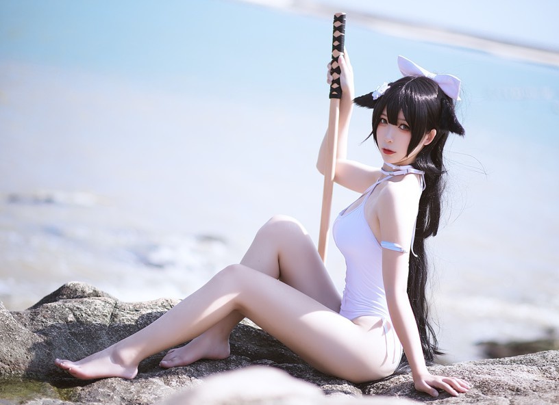 樱落酱w：柴郡究极单推人，blhx天下第一！