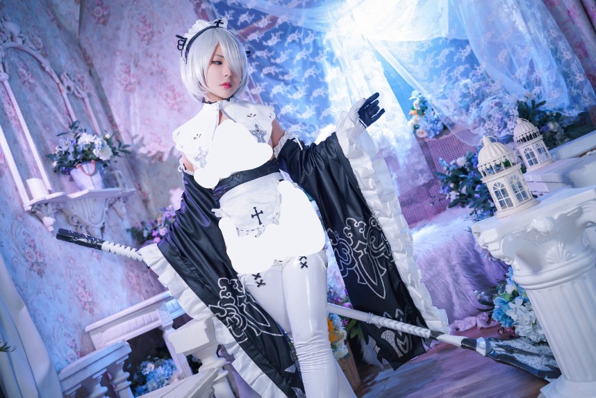 虎森森 - 2B女仆 [15P-78MB]