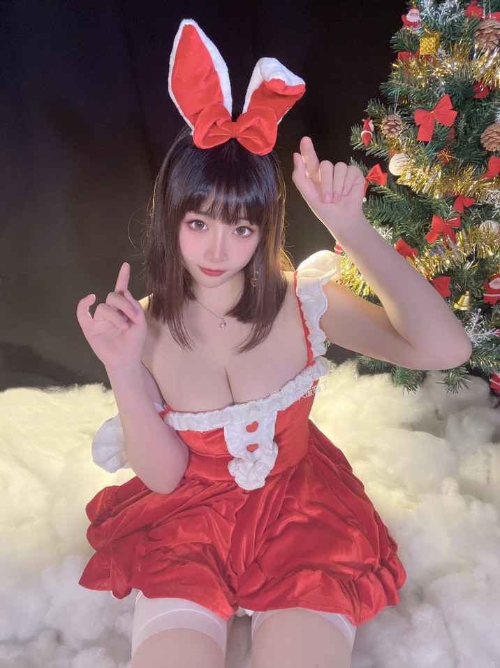 是一只废喵了 – 圣诞比基尼+连衣裙 [72P3V-620MB]