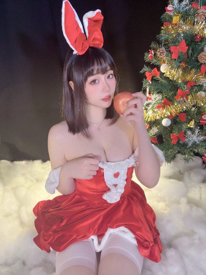 是一只废喵了 - 圣诞比基尼+连衣裙 [72P3V-620MB]