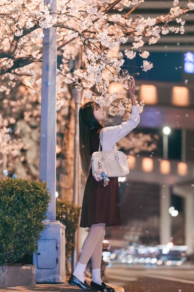 兔子Zzz不吃胡萝卜 - 居家少女&amp;邂逅樱花雨 2 套