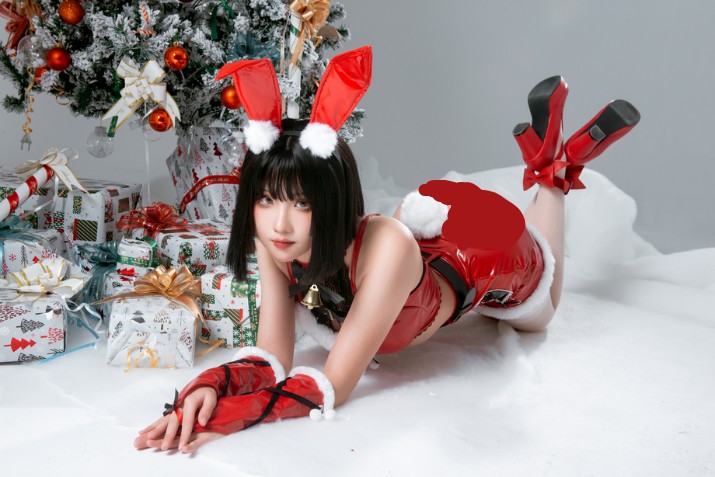 瓦斯塔亚小龙虾 – 圣诞礼物兔兔 [20P-392MB]