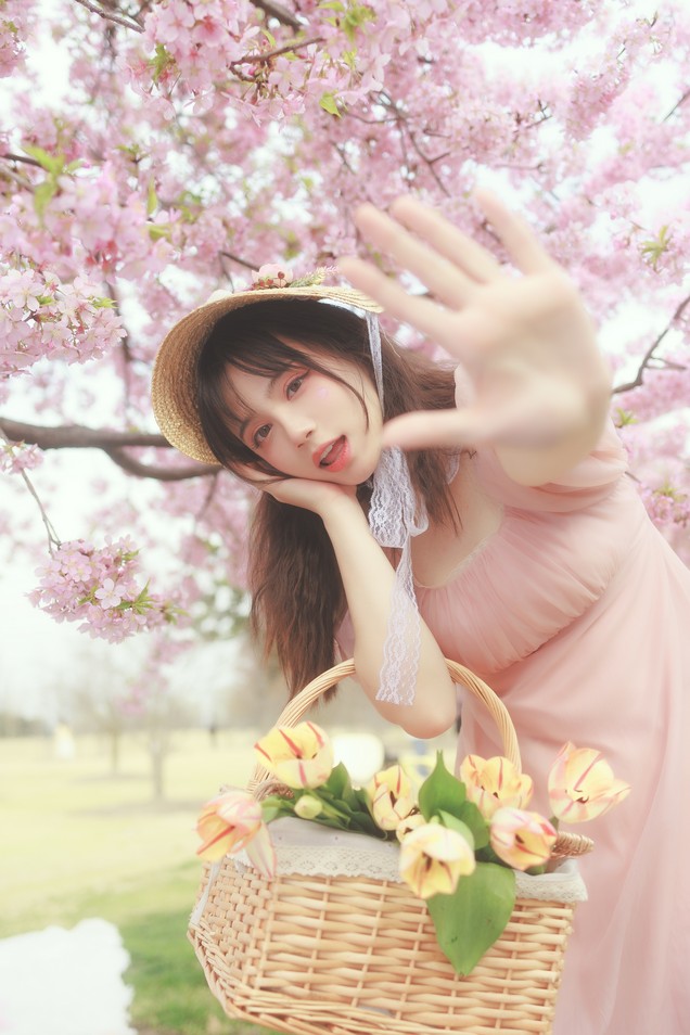 贰加六 - 更新5套作品集