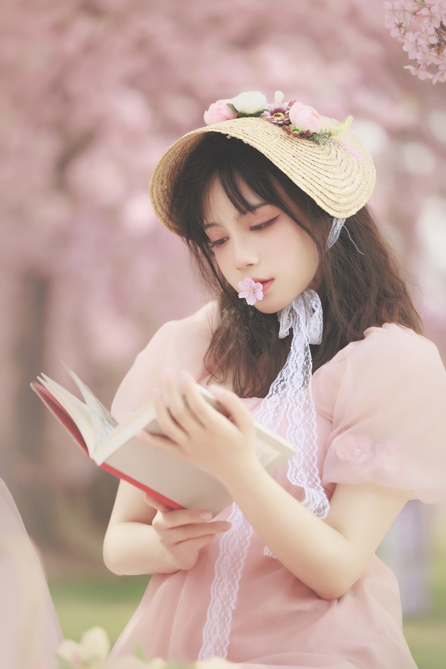 贰加六 - 更新5套作品集