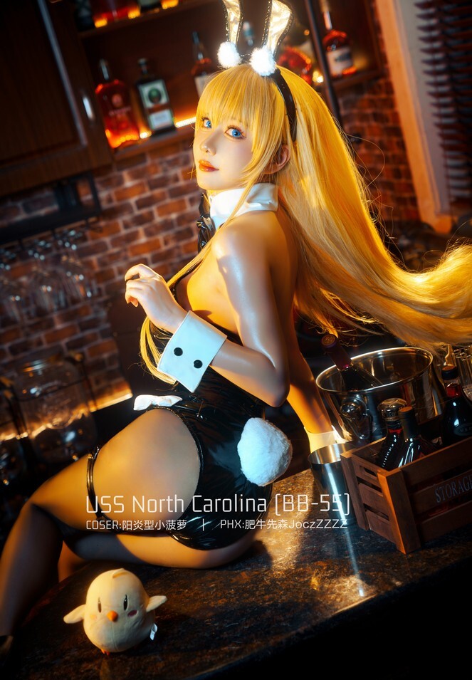 阳炎型小菠萝 - 北卡罗来纳 [18P-148MB]