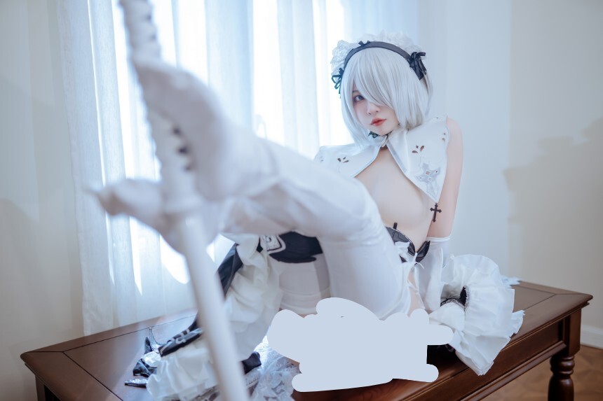 二佐Nisa - 2B女仆 [31P-259MB]