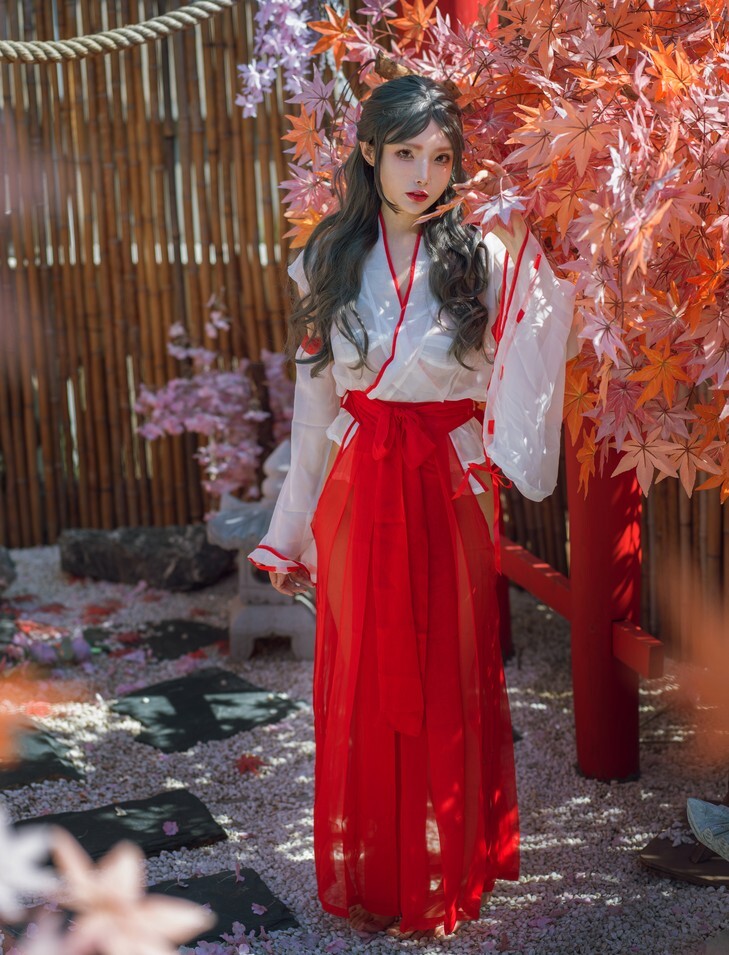 秋和柯基 - 汤池巫女 [53P1V-1.11GB]