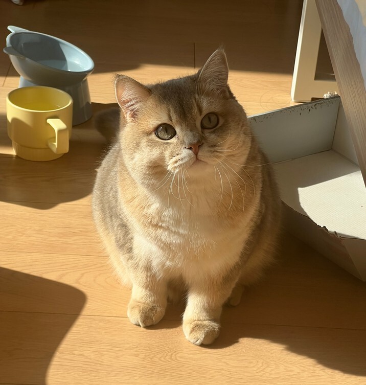 眼酱大魔王w - 23.02月fantia会员合集 [44P-313MB]