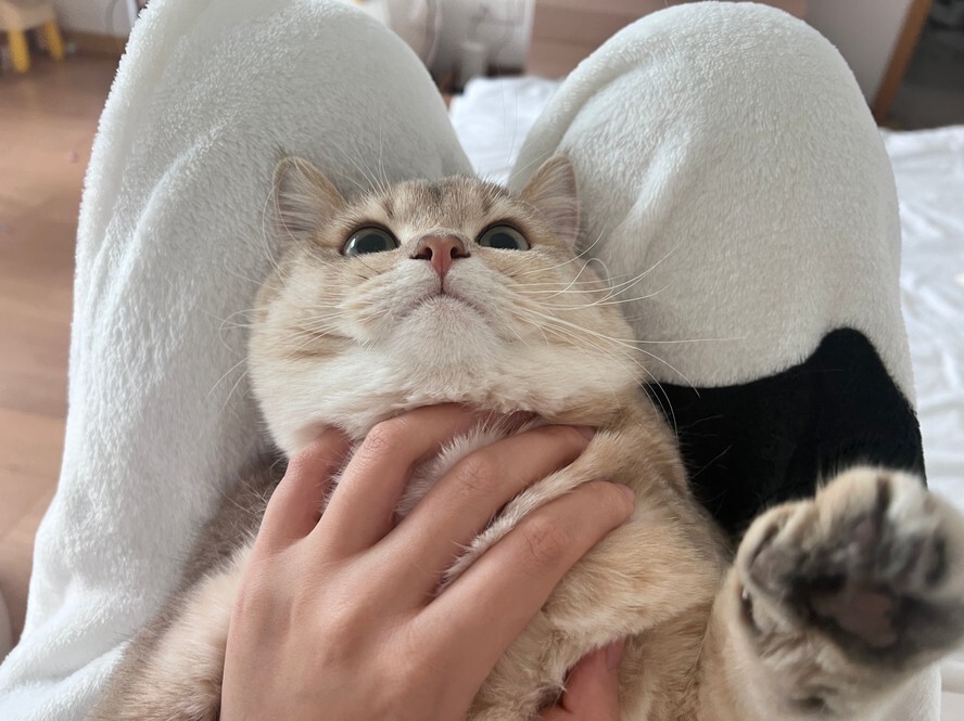 眼酱大魔王w – 23.02月fantia会员合集 [44P-313MB]