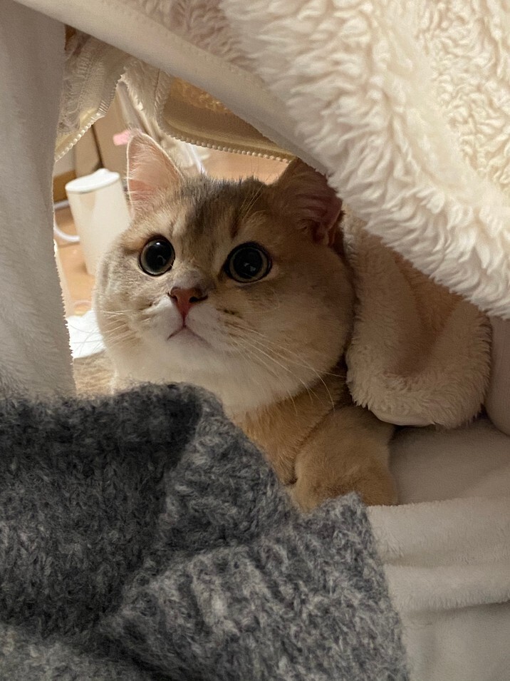 眼酱大魔王w - 23.02月fantia会员合集 [44P-313MB]