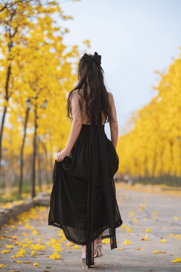 萌芽儿 -  秋有银杏 春有黄风铃 [24P-336MB]