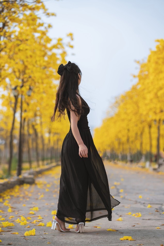 萌芽儿 -  秋有银杏 春有黄风铃 [24P-336MB]