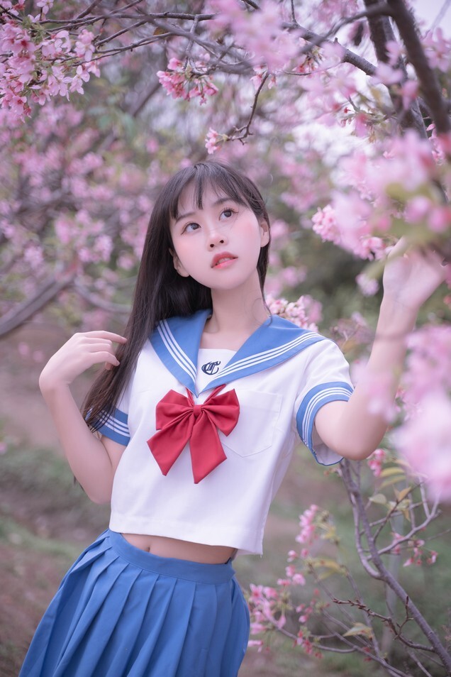 萌芽儿 -  樱花jk [31P-426MB]