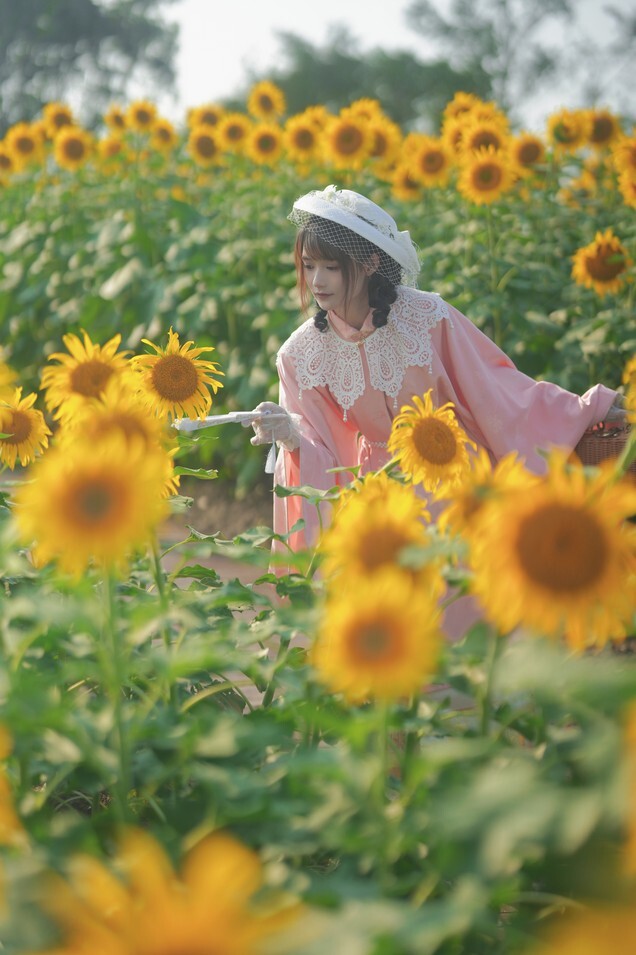 兔子Zzz不吃胡萝卜 - 向日葵的回忆 [22P-288MB]