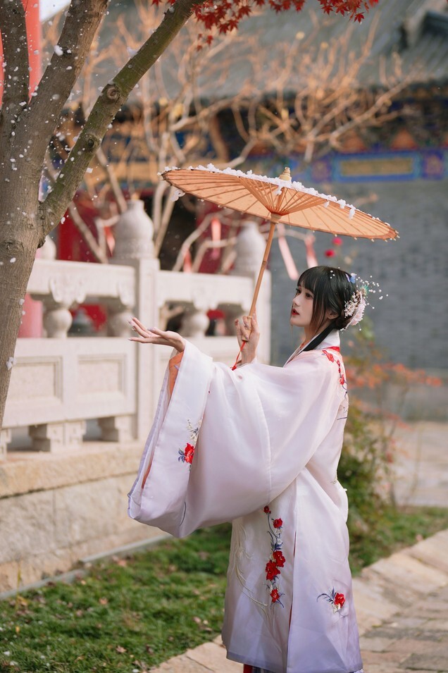 兔子Zzz不吃胡萝卜 - 红叶新赋 [37P-463MB]