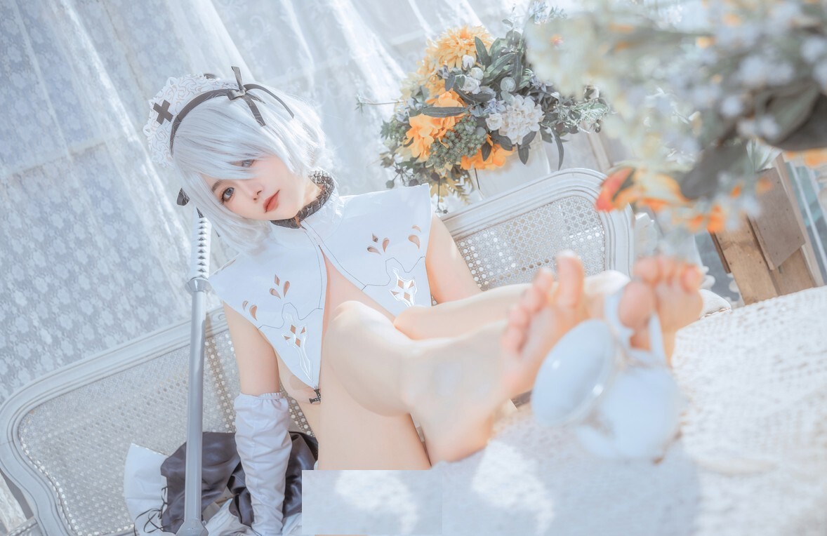 桃良阿宅 - 女仆2B [40P-226MB]