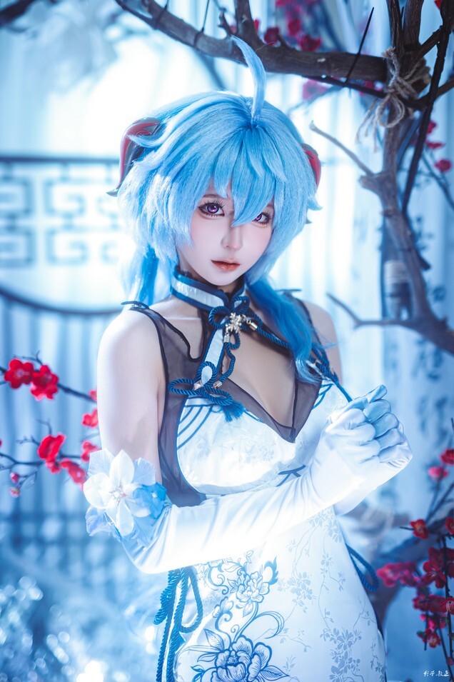 蠢沫沫 - 2024年会员 甘雨旗袍 [27P-225MB]