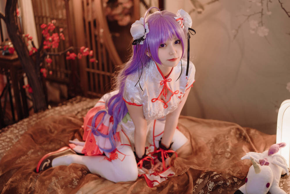 猫大人 – 碧蓝航线 独角兽 旗袍 [22P-348MB]